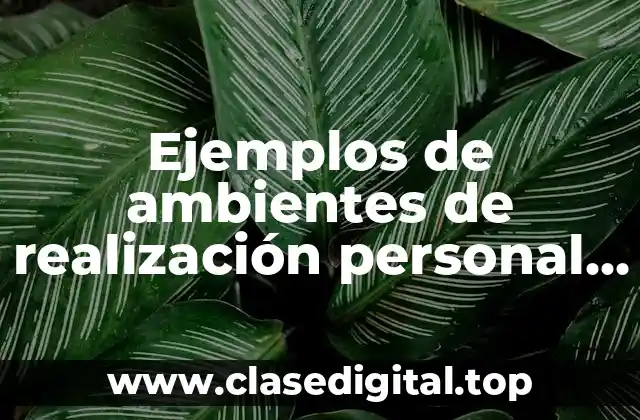 Ejemplos de ambientes de realización personal en México