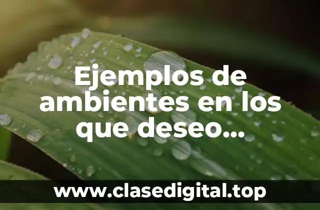 Ejemplos de ambientes en los que deseo realizarme