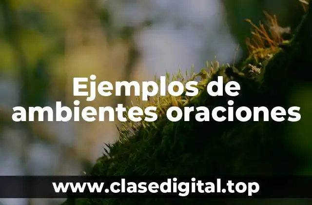 Ejemplos de ambientes oraciones