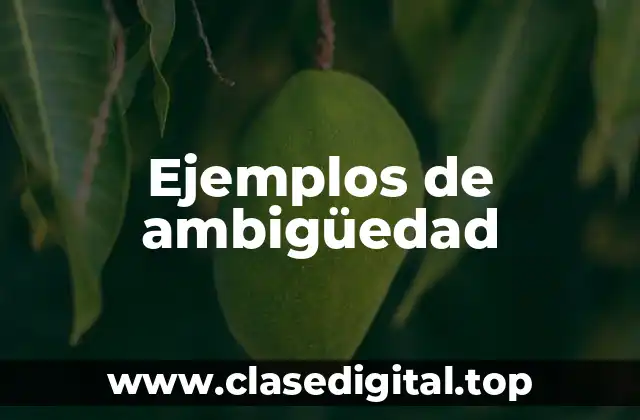 Ejemplos de ambigüedad