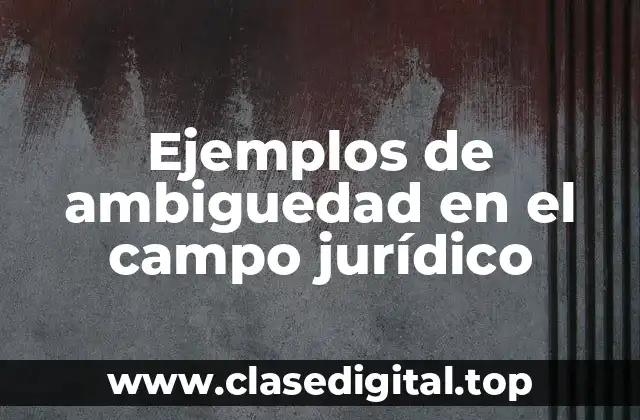 Ejemplos de ambiguedad en el campo jurídico