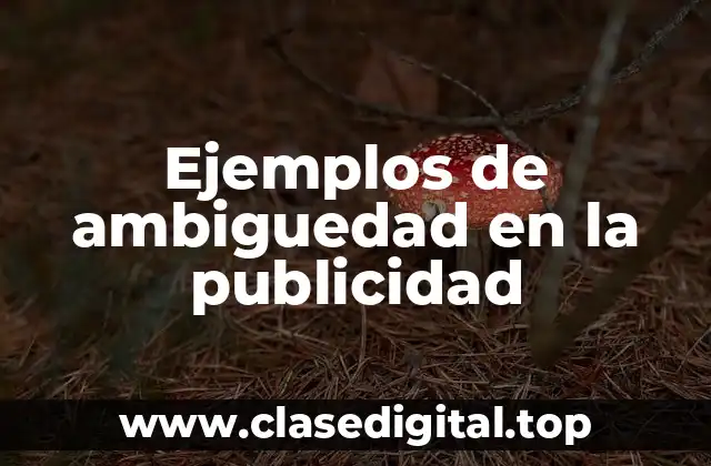 Ejemplos de ambiguedad en la publicidad