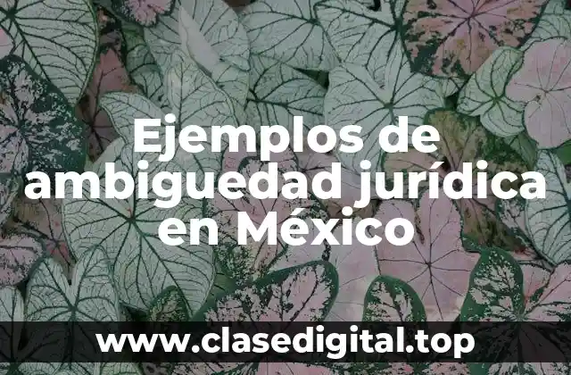 Ejemplos de ambiguedad jurídica en México