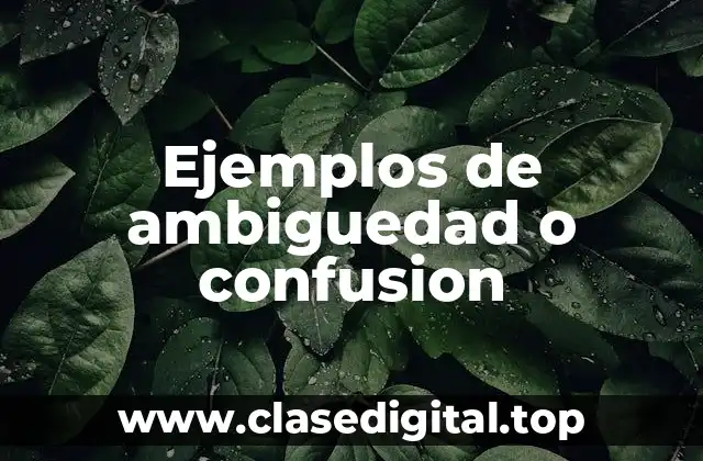 Ejemplos de ambiguedad o confusion
