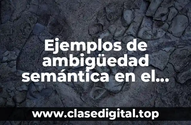Ejemplos de ambigüedad semántica en el derecho