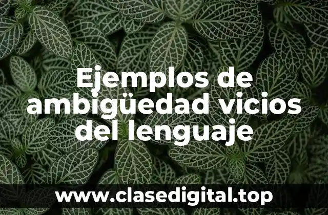 Ejemplos de ambigüedad vicios del lenguaje