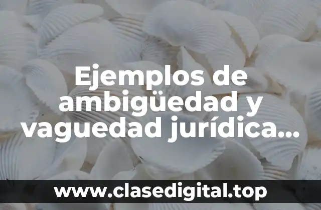 Ejemplos de ambigüedad y vaguedad jurídica mexicana y Significado