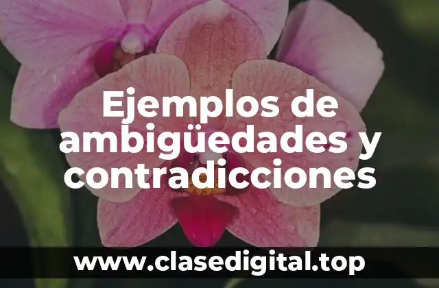 Ejemplos de ambigüedades y contradicciones