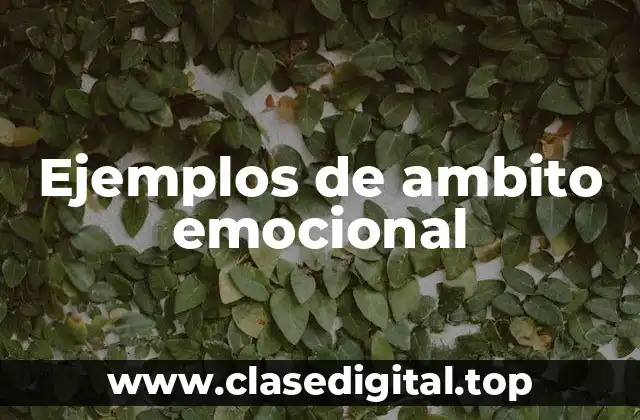 Ejemplos de ambito emocional