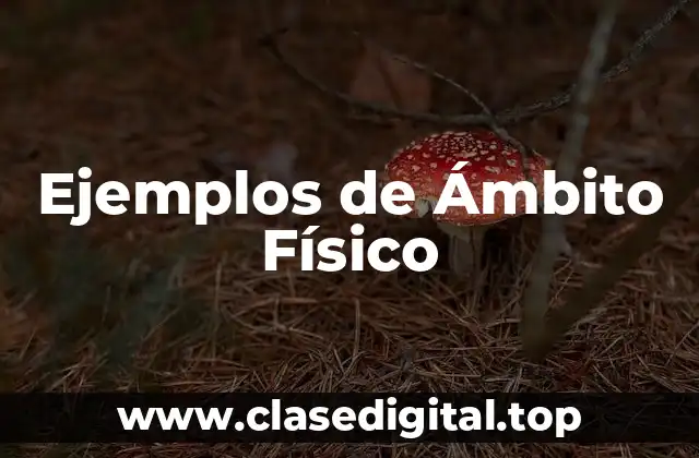 Ejemplos de Ámbito Físico