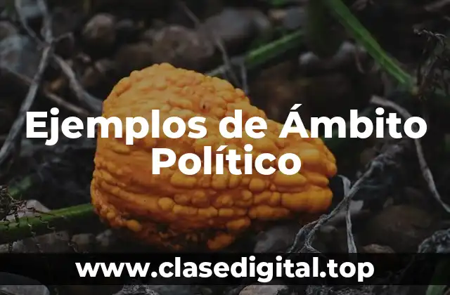 Ejemplos de Ámbito Político