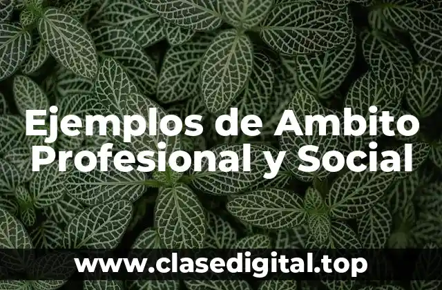 Ejemplos de Ambito Profesional y Social