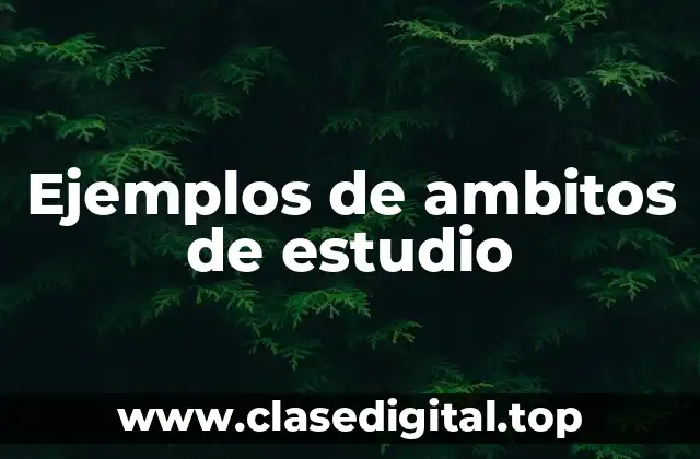 Ejemplos de ambitos de estudio