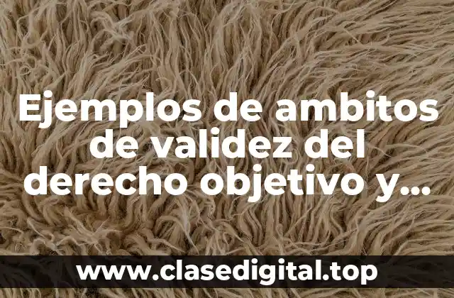 Ejemplos de ambitos de validez del derecho objetivo y Significado