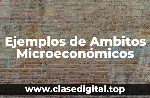 Ejemplos de Ambitos Microeconómicos