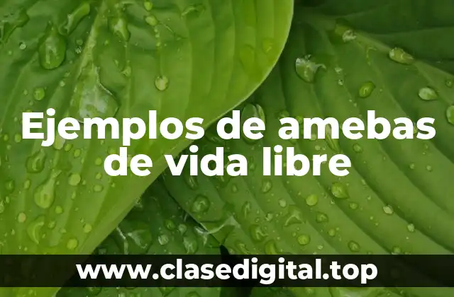 Ejemplos de amebas de vida libre