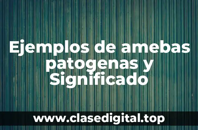 Ejemplos de amebas patogenas y Significado