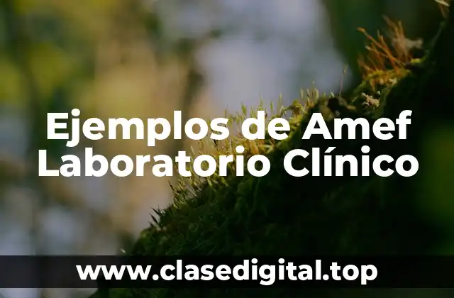 Ejemplos de Amef Laboratorio Clínico