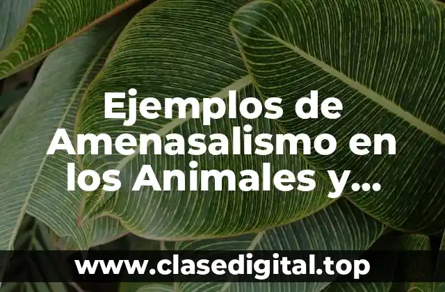 Ejemplos de Amenasalismo en los Animales y Significado