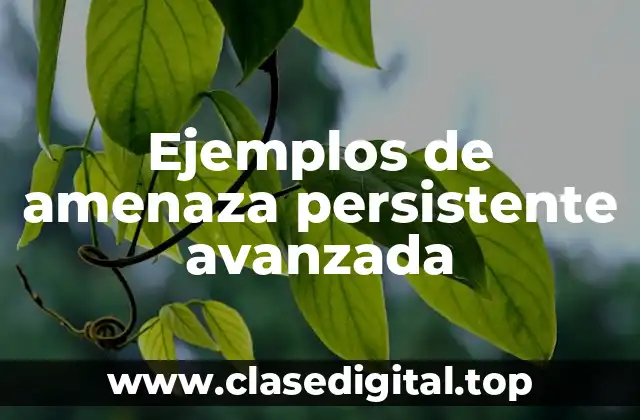 Ejemplos de amenaza persistente avanzada