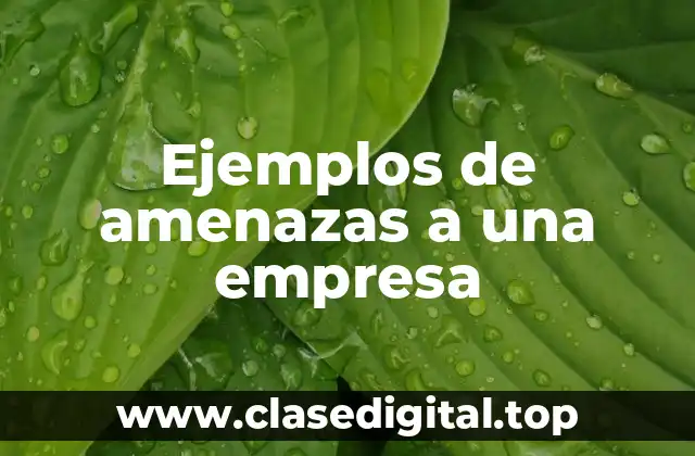 Ejemplos de amenazas a una empresa
