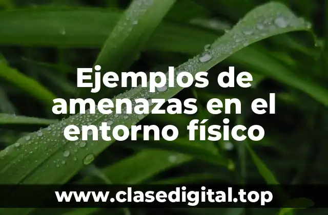 Ejemplos de amenazas en el entorno físico