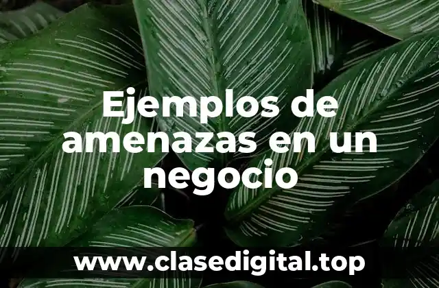 Ejemplos de amenazas en un negocio