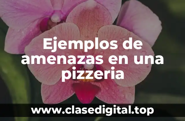 Ejemplos de amenazas en una pizzeria