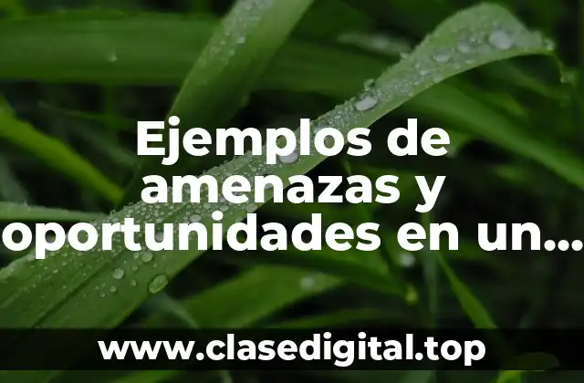 Ejemplos de amenazas y oportunidades en un hospital