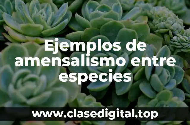 Ejemplos de amensalismo entre especies