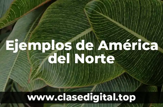 Ejemplos de América del Norte