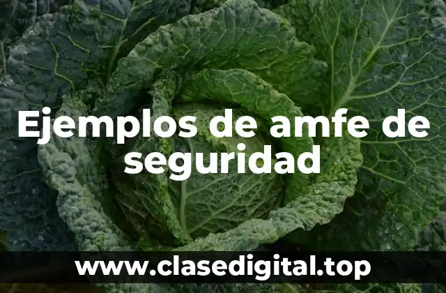 Ejemplos de amfe de seguridad