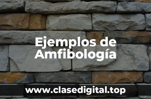 Ejemplos de Amfibología
