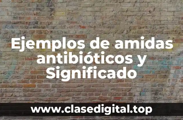 Ejemplos de amidas antibióticos y Significado