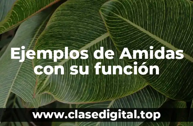 Ejemplos de Amidas con su función