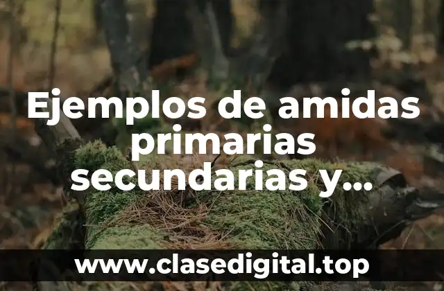 Ejemplos de amidas primarias secundarias y teciarias y Significado