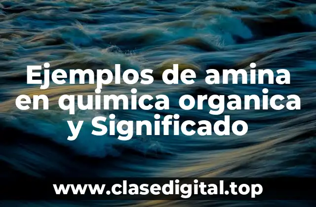 Ejemplos de amina en quimica organica y Significado