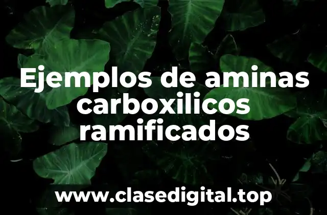 Ejemplos de aminas carboxilicos ramificados