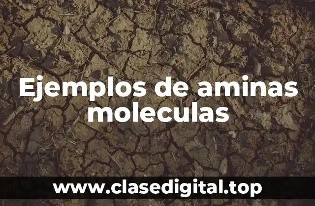 Ejemplos de aminas moleculas