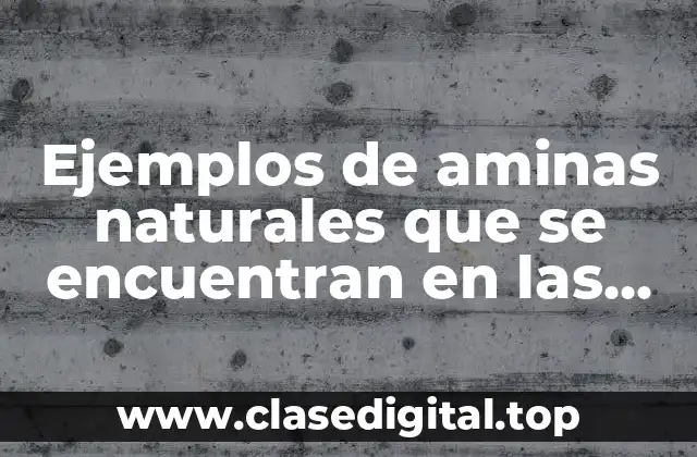 Ejemplos de aminas naturales que se encuentran en las plantas y Significado