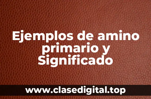 Ejemplos de amino primario y Significado
