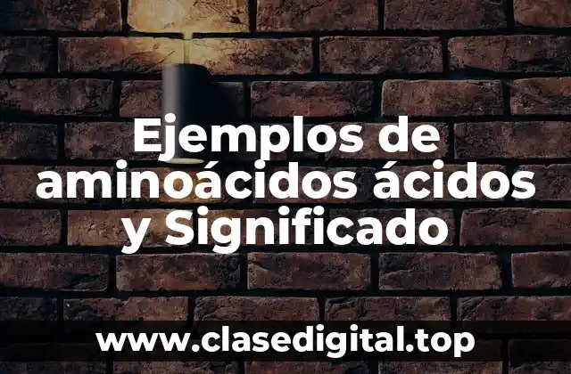 Ejemplos de aminoácidos ácidos y Significado