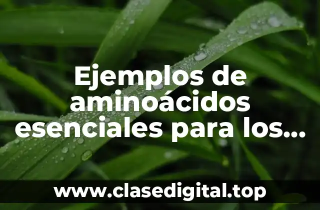 Ejemplos de aminoácidos esenciales