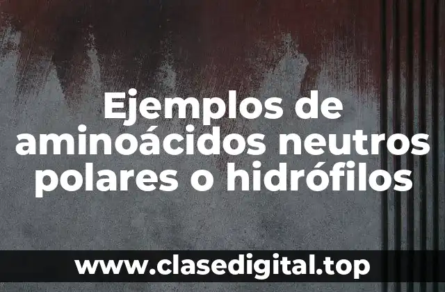 Ejemplos de aminoácidos neutros polares o hidrófilos