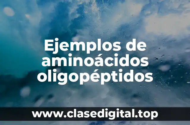 Ejemplos de aminoácidos oligopéptidos