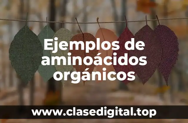 Ejemplos de aminoácidos orgánicos