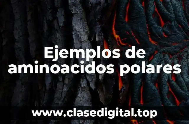 Ejemplos de aminoácidos polares