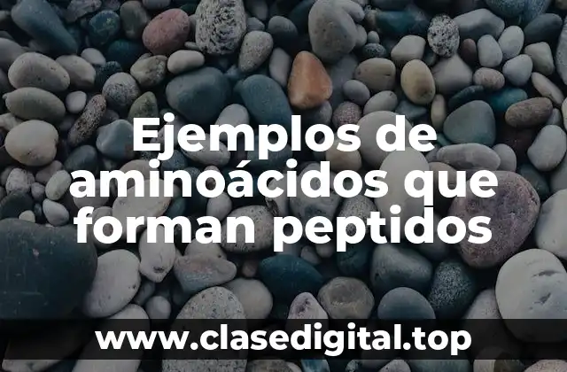 Ejemplos de aminoácidos que forman peptidos