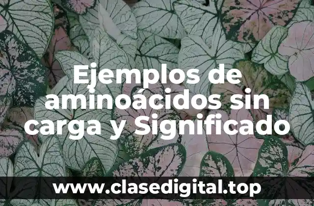 Ejemplos de aminoácidos sin carga y Significado