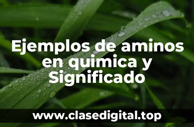 Ejemplos de aminos en quimica y Significado